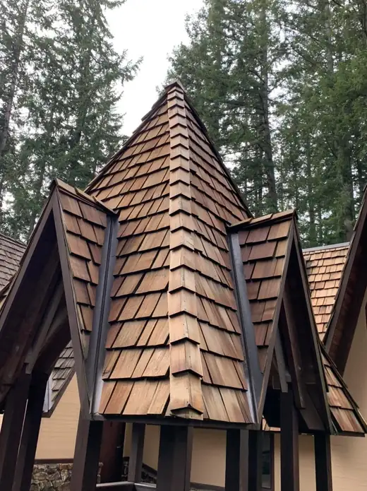 Roofing Replacement project photo 16