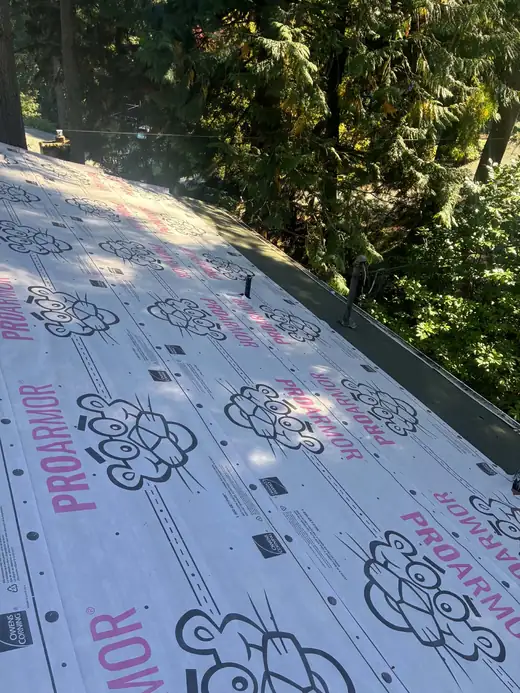 Roofing Replacement project photo 44